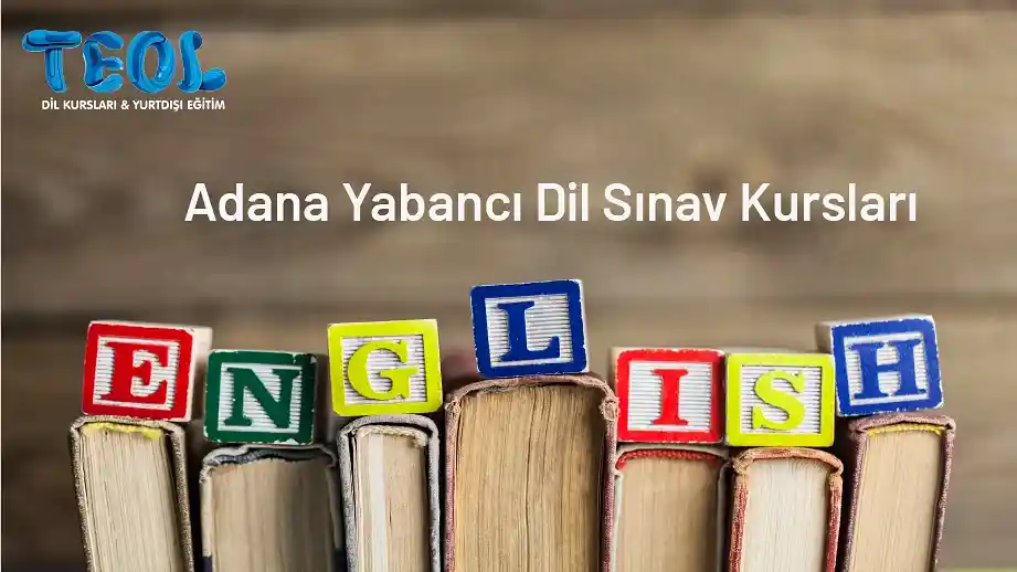 Başarıya Giden Yolda TEOL’ün Destekleyici Rolü
